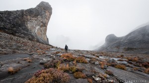 The Journey ot the Western Plateau       